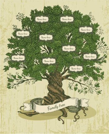 family-tree family-tree